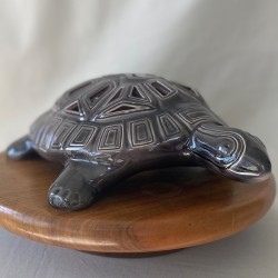 Tortue "Carapatte"