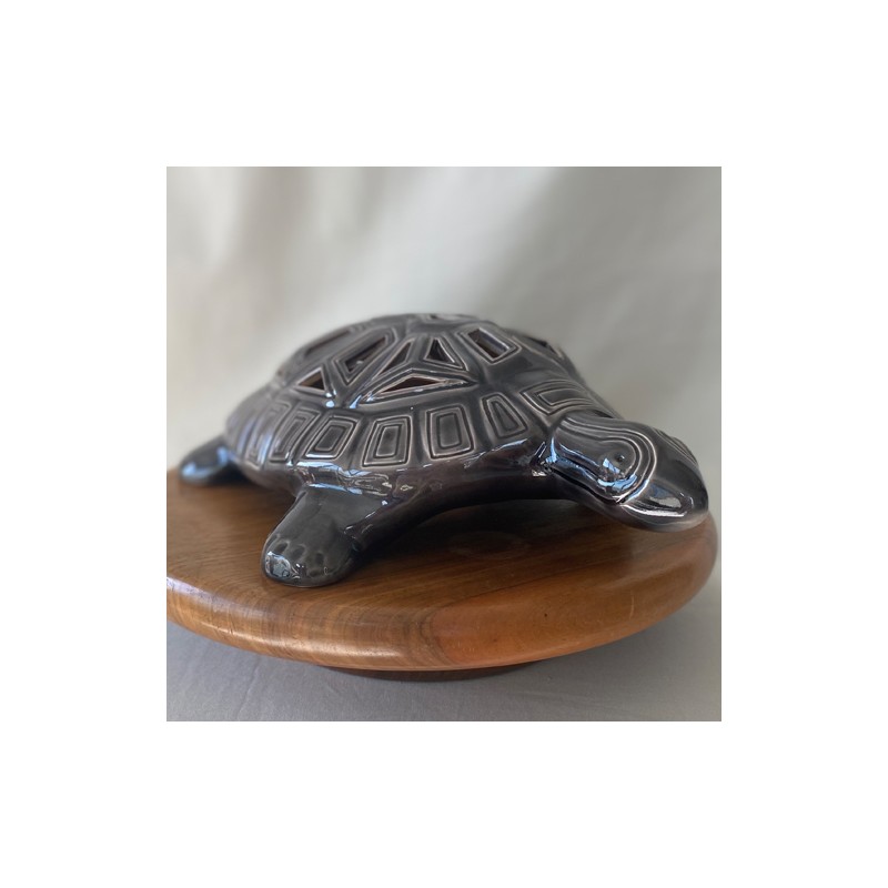 Tortue "Carapatte"