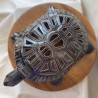 Tortue "Carapatte"