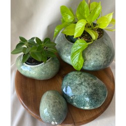 Lot de 4 cailloux décoratifs "Rock'n roule"