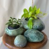 Lot de 4 cailloux décoratifs "Rock'n roule"
