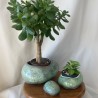 Lot de 3 cailloux "Rock'n roule"